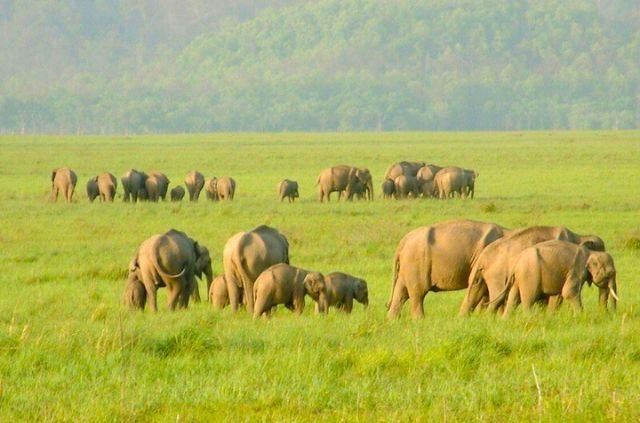 Haridwar to Rajaji National Park Distance 4 Haridwar to Rajaji National Park Distance