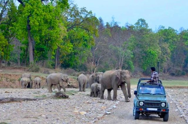 Haridwar to Rajaji National Park Distance 6 Haridwar to Rajaji National Park Distance