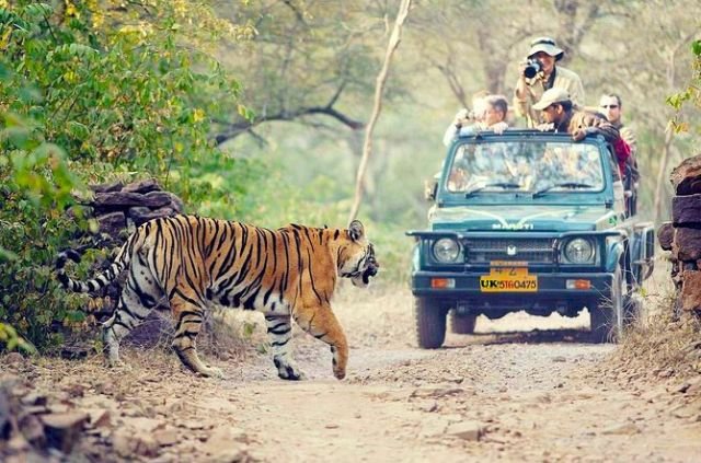 Haridwar to Rajaji National Park Distance 7 Haridwar to Rajaji National Park Distance