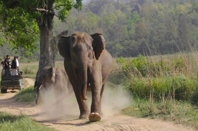 Haridwar to Rajaji National Park Distance 10 Haridwar to Rajaji National Park Distance