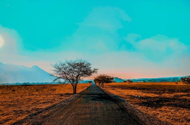 10 Facts About Rajaji National Park 2 10 Facts About Rajaji National Park