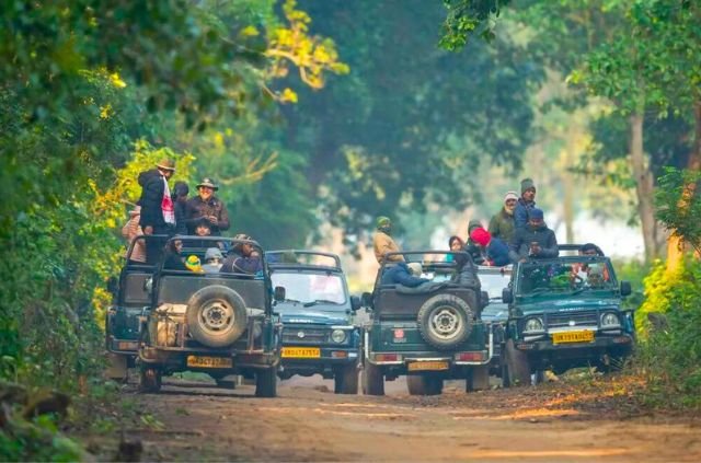 Haridwar to Rajaji National Park Distance 9 Haridwar to Rajaji National Park Distance