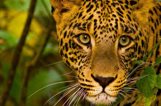 Haridwar to Rajaji National Park Distance 8 Haridwar to Rajaji National Park Distance