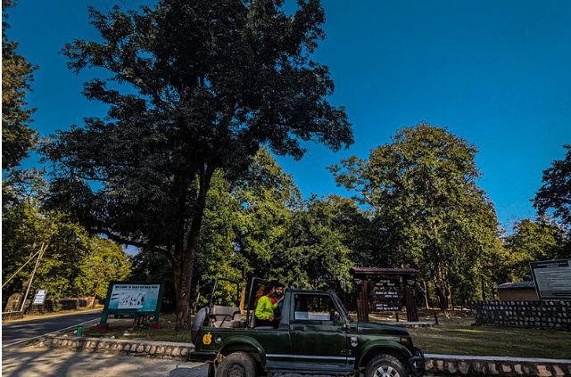 10 Best Things To Do In Rajaji National Park 9 Jeep Safari in Rajaji