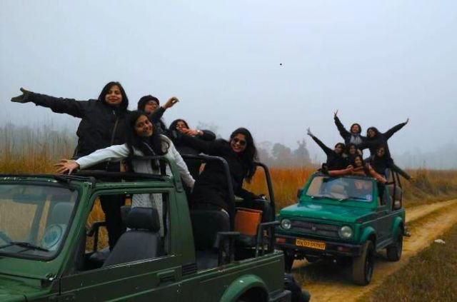 10 Best Things To Do In Rajaji National Park 5 Jeep Safari in Rajaji
