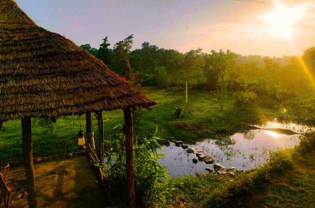 A Guide to Accommodation in Rajaji National Park 10 Seasonality and Booking Considerations In Rajaji National Park