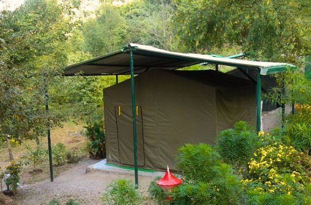 A Guide to Accommodation in Rajaji National Park 5 Camps in Rajaji National Park