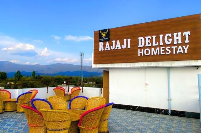 A Guide to Accommodation in Rajaji National Park 8 Choosing the Right Accommodation